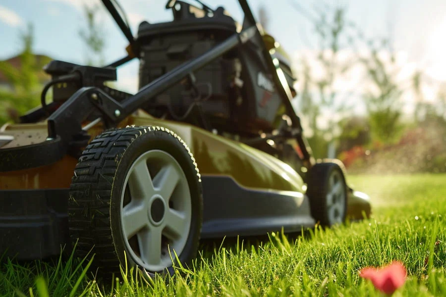 self-propelled push mower